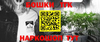apvp Можга