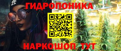 apvp Можга