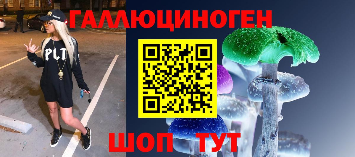 Александров  Псилоцибиновые грибы прущие грибы  Вход с VPN  Псилоцибиновые грибы Psilocybe 