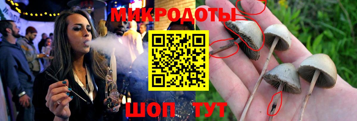 Псилоцибиновые грибы прущие грибы Александров